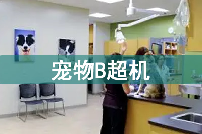 寵物b超機價格多少錢一臺？寵物B超為什